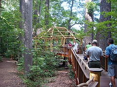 092 Longwood Gardens [2008 August 23]